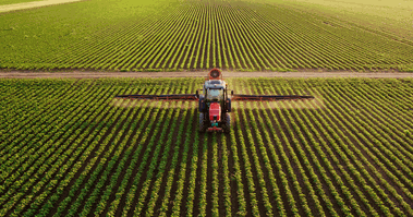 Calypso Instruments Agriculture